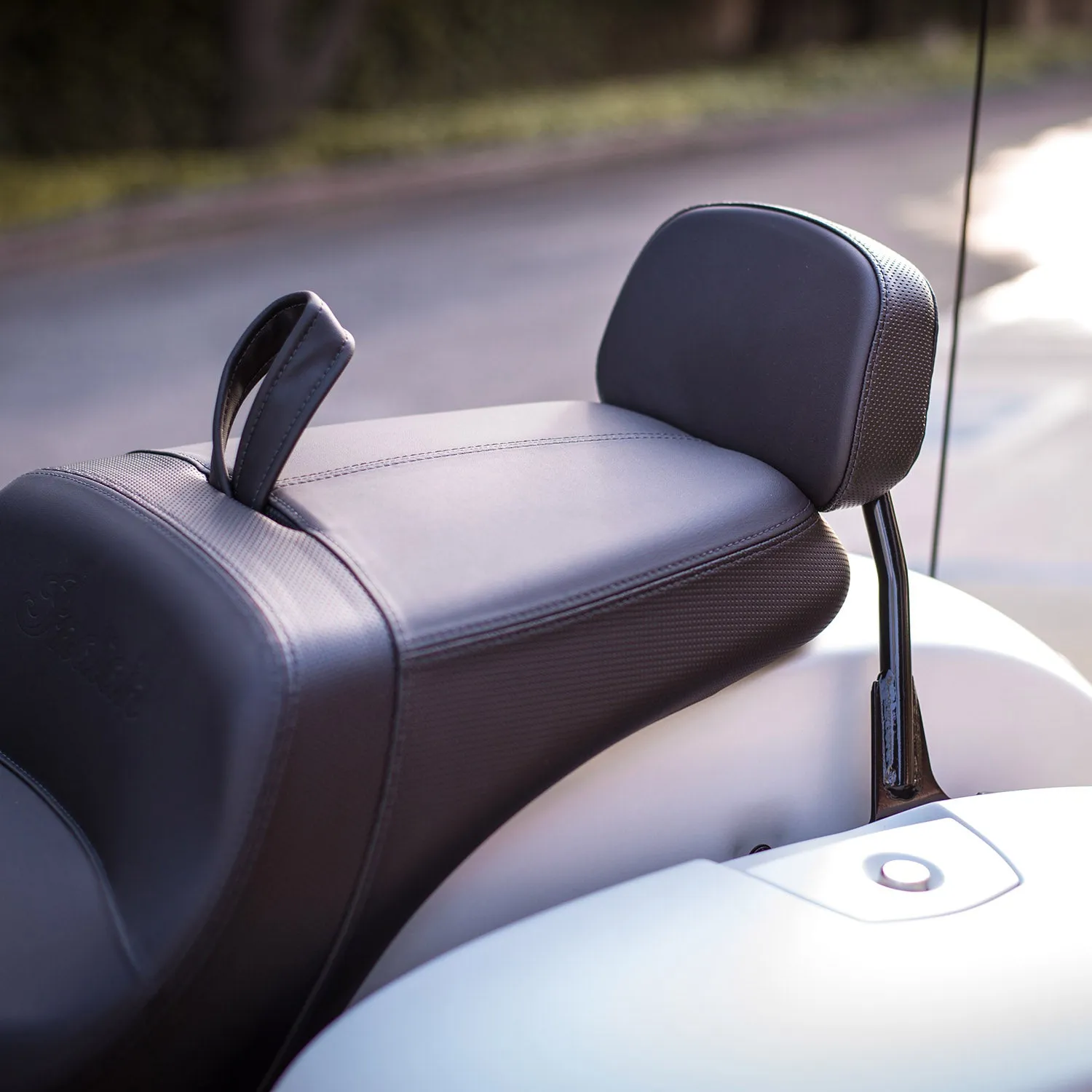 Low Profile Quick Release Passenger Sissy Bar