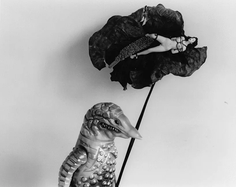 Nobuyoshi Araki. TOMBEAU TOKYO. Out of Print.