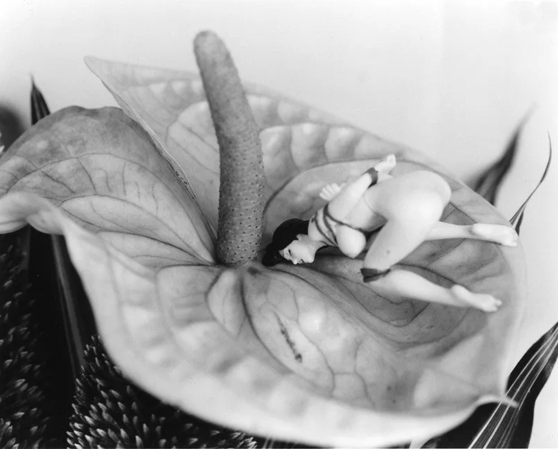 Nobuyoshi Araki. TOMBEAU TOKYO. Out of Print.