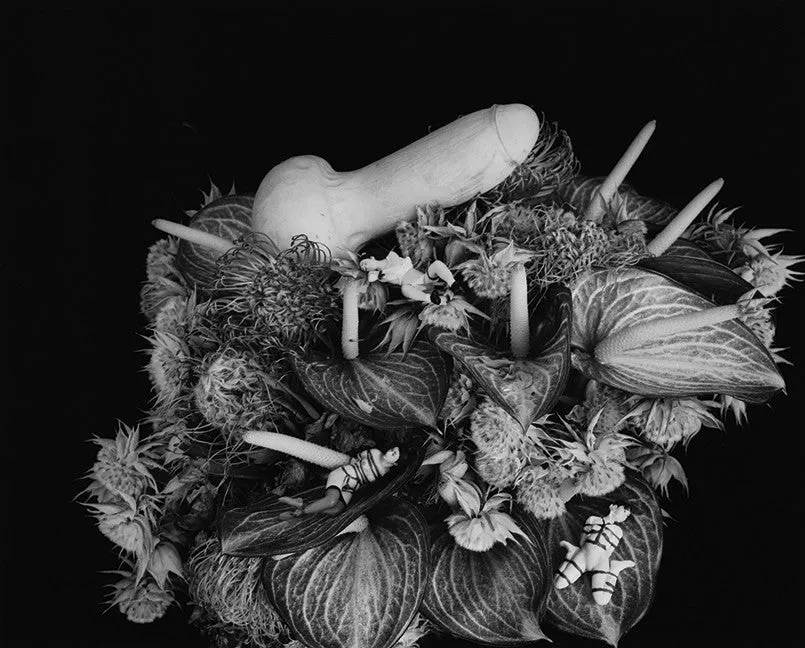 Nobuyoshi Araki. TOMBEAU TOKYO. Out of Print.