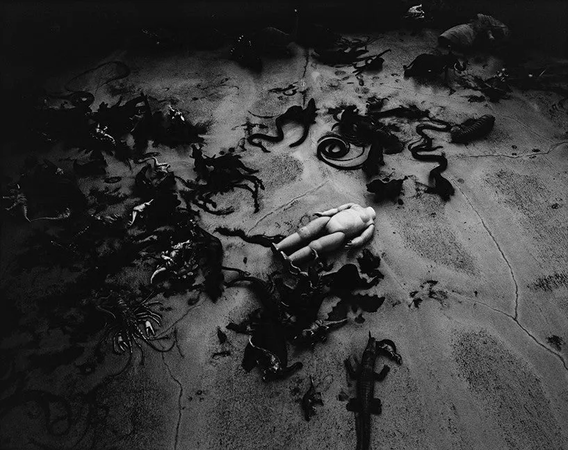 Nobuyoshi Araki. TOMBEAU TOKYO. Out of Print.