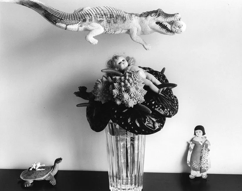 Nobuyoshi Araki. TOMBEAU TOKYO. Out of Print.