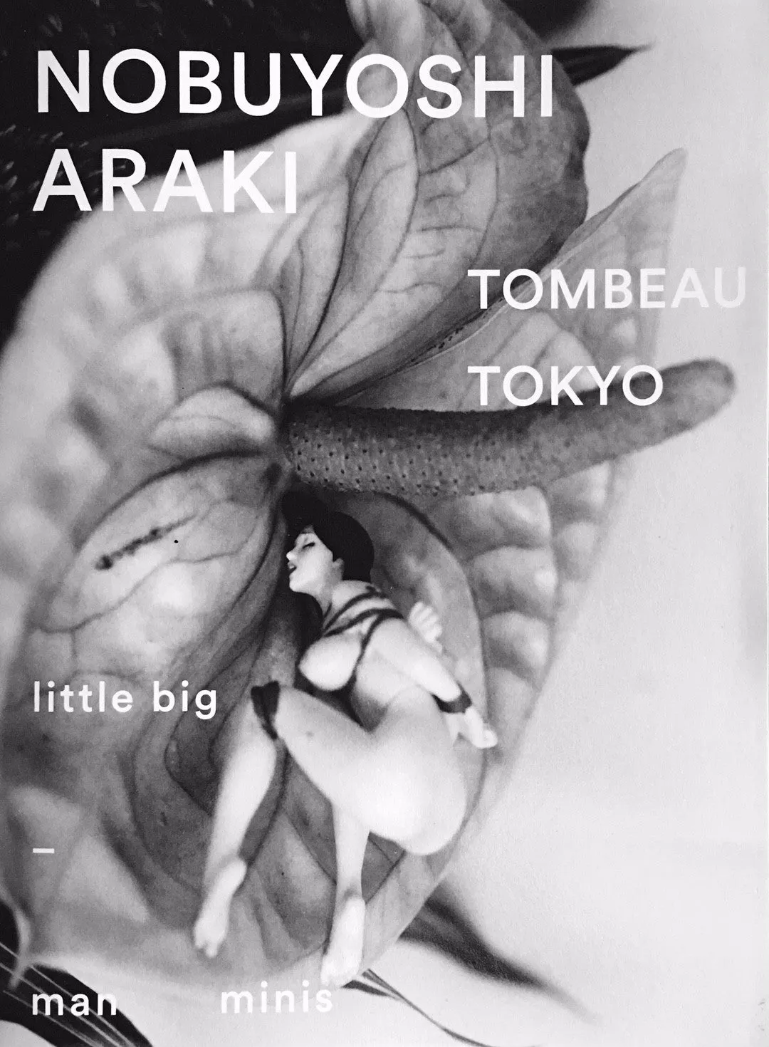 Nobuyoshi Araki. TOMBEAU TOKYO. Out of Print.
