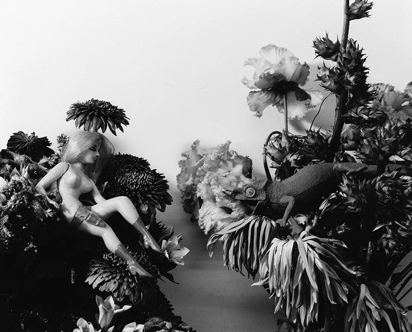 Nobuyoshi Araki. TOMBEAU TOKYO. Out of Print.