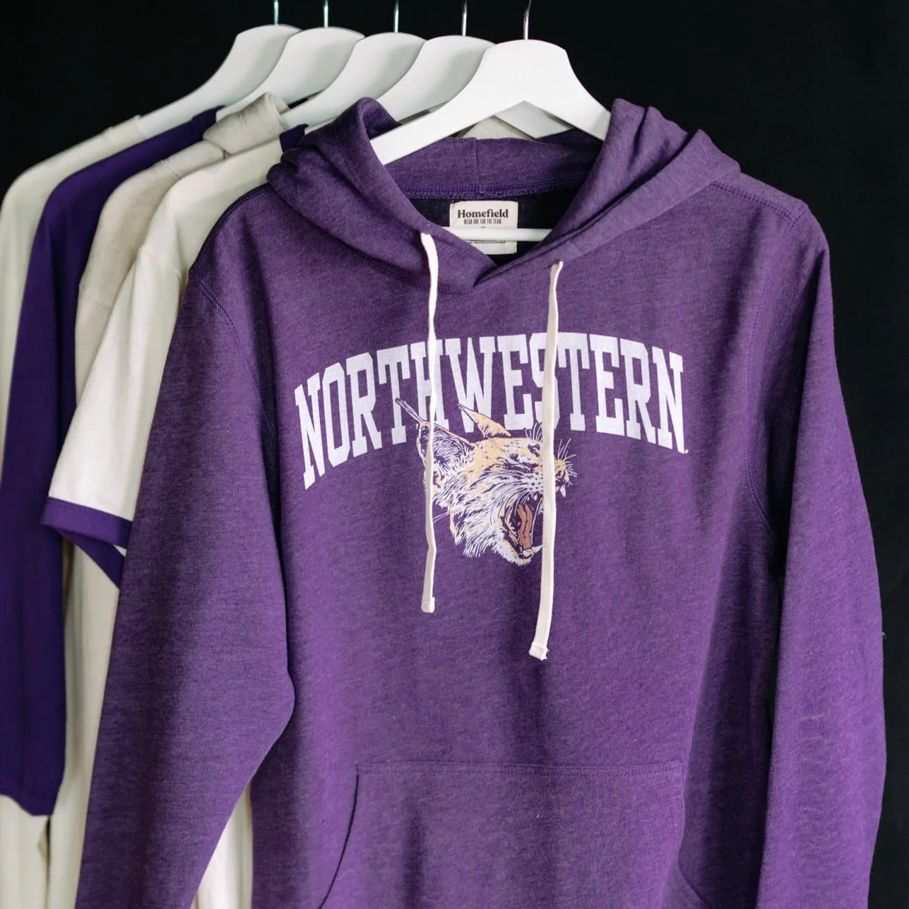 Northwestern Wildcats Roaring Hoodie