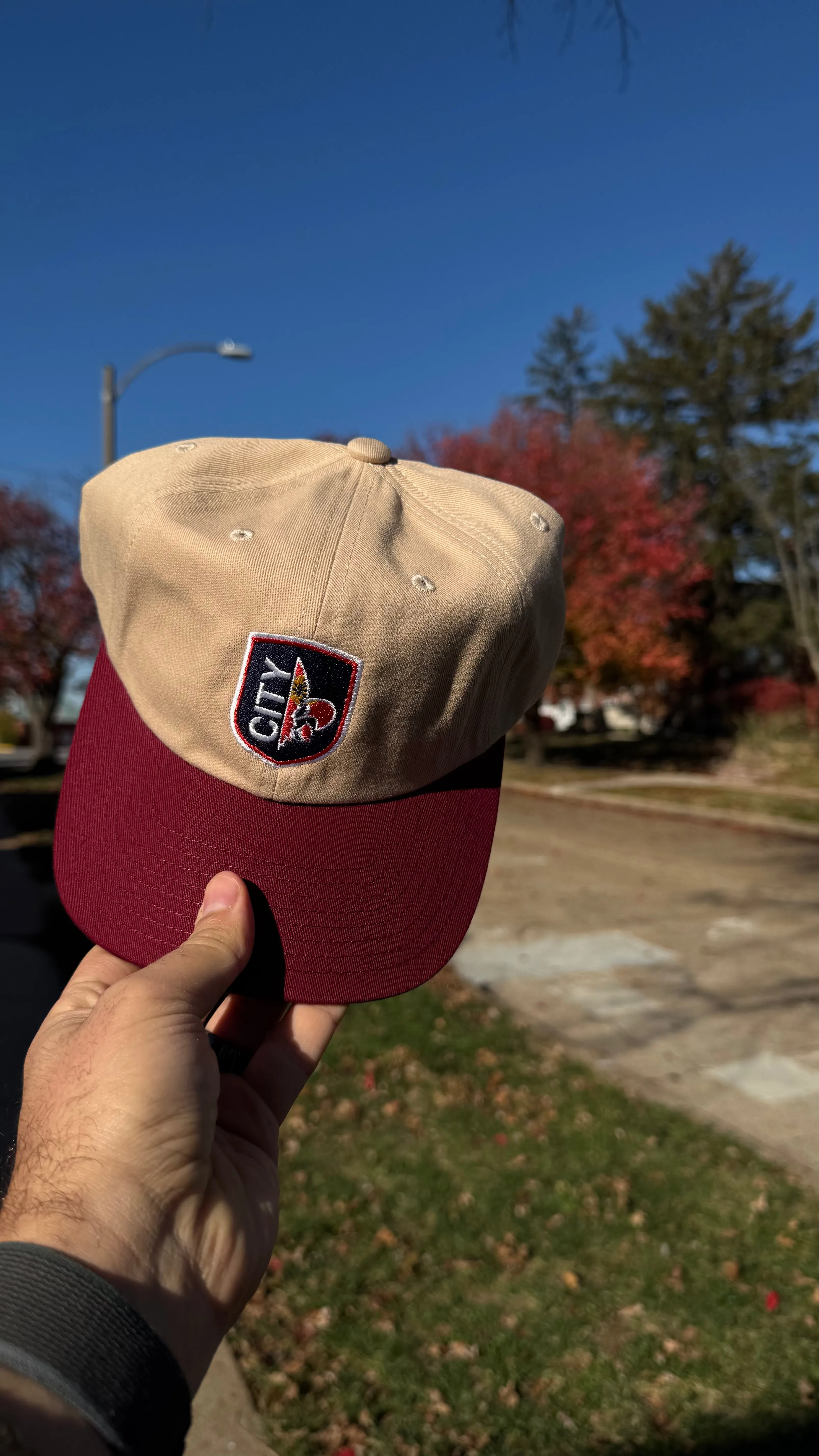 Organic City Shield Dad Cap - Embroidered
