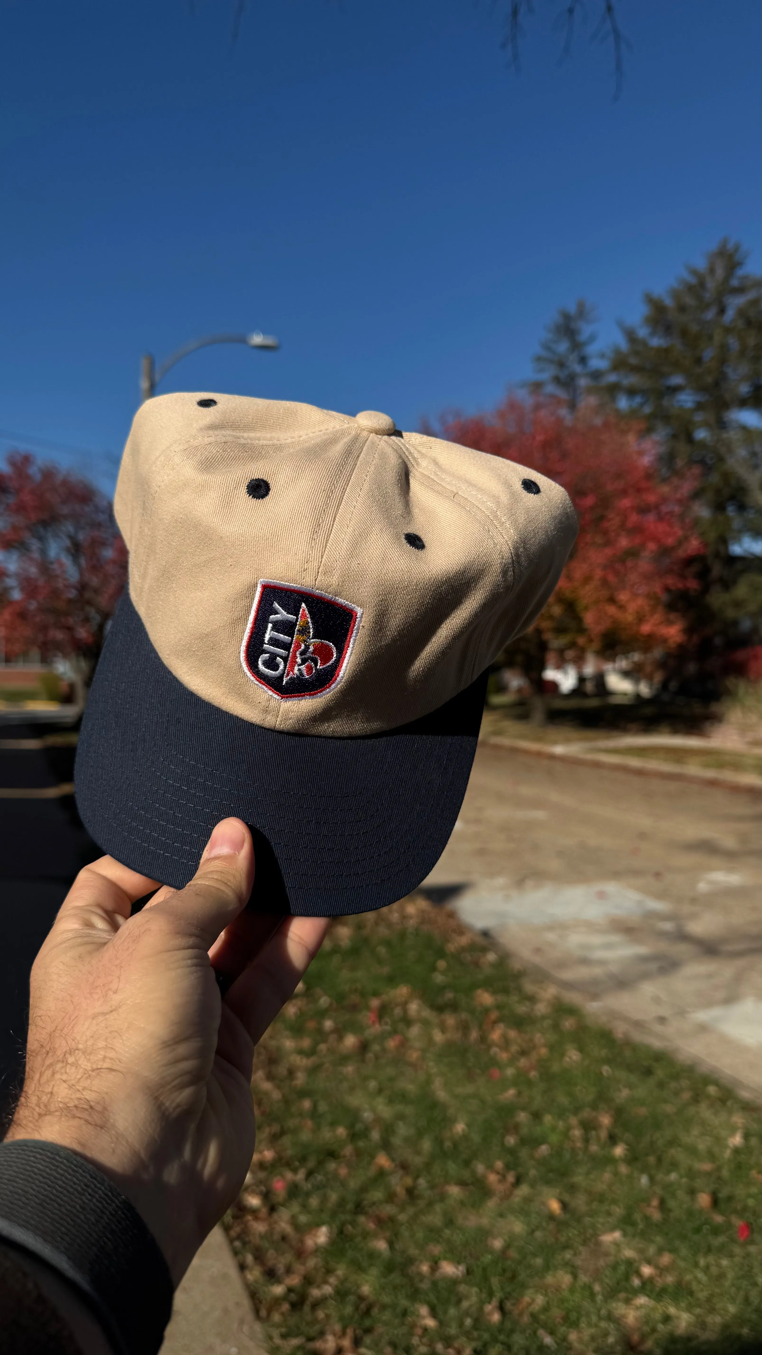 Organic City Shield Dad Cap - Embroidered