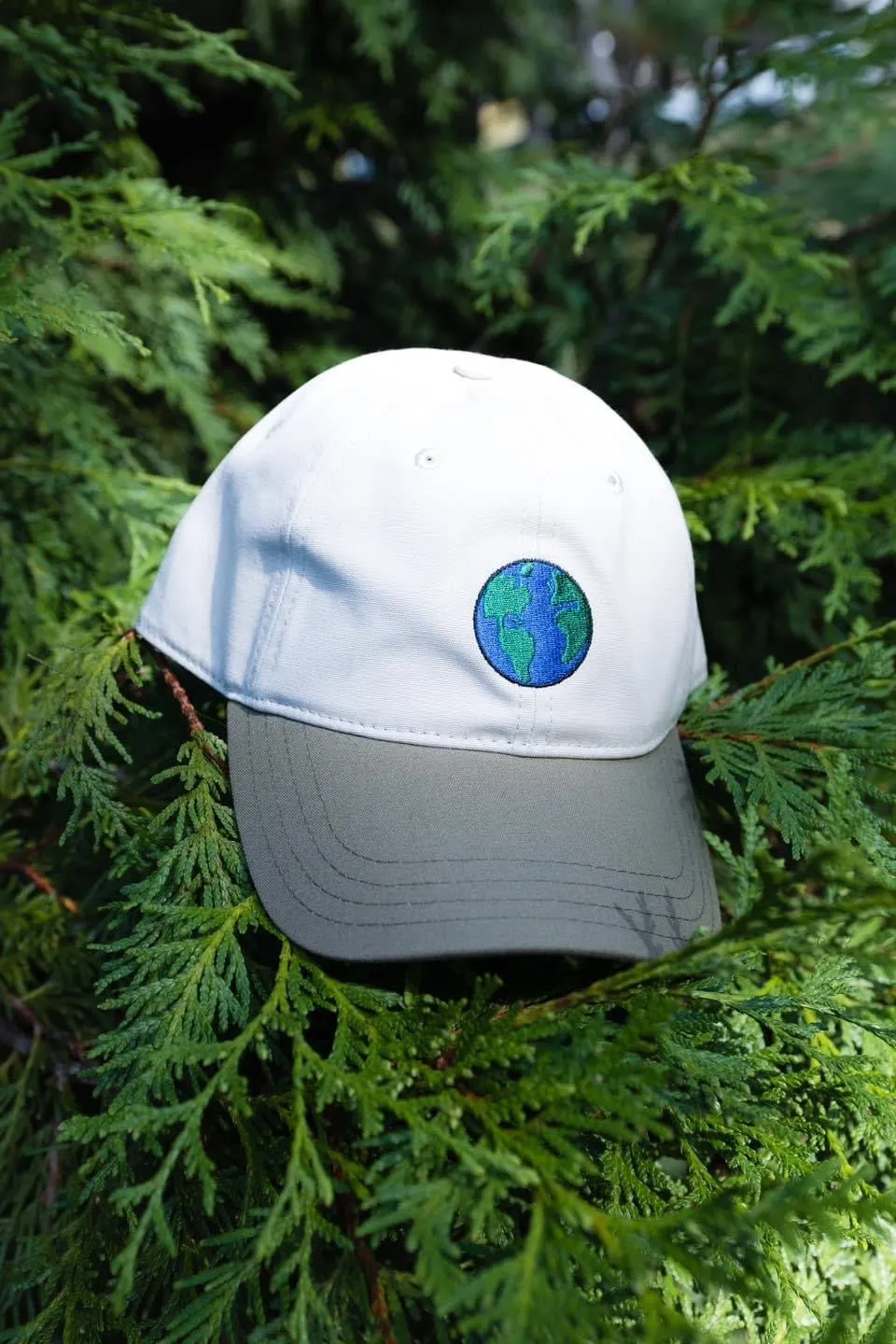 Organic Globe Dad Hat