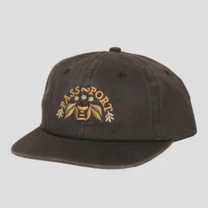 Pass~Port Arched 6 Panel Cap - Black