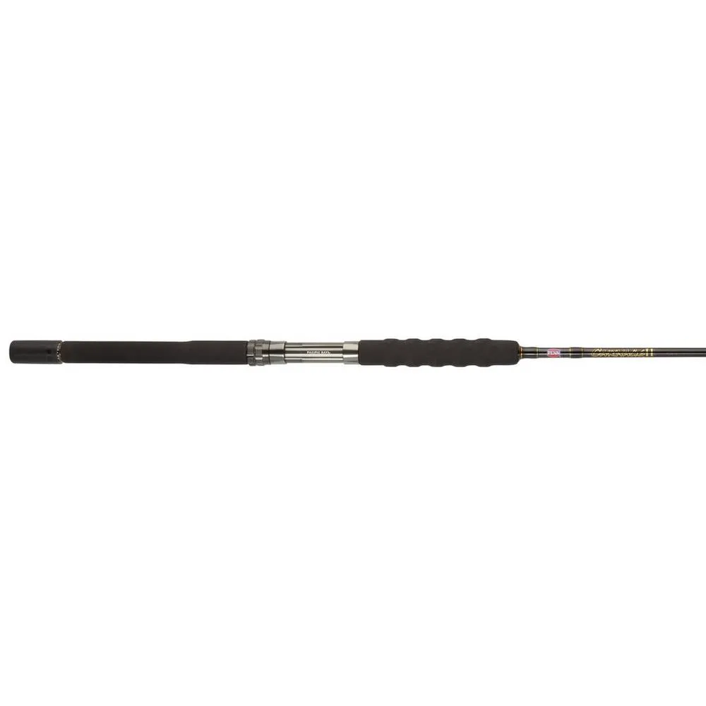 Penn Carnage II Boat Conventional Rod