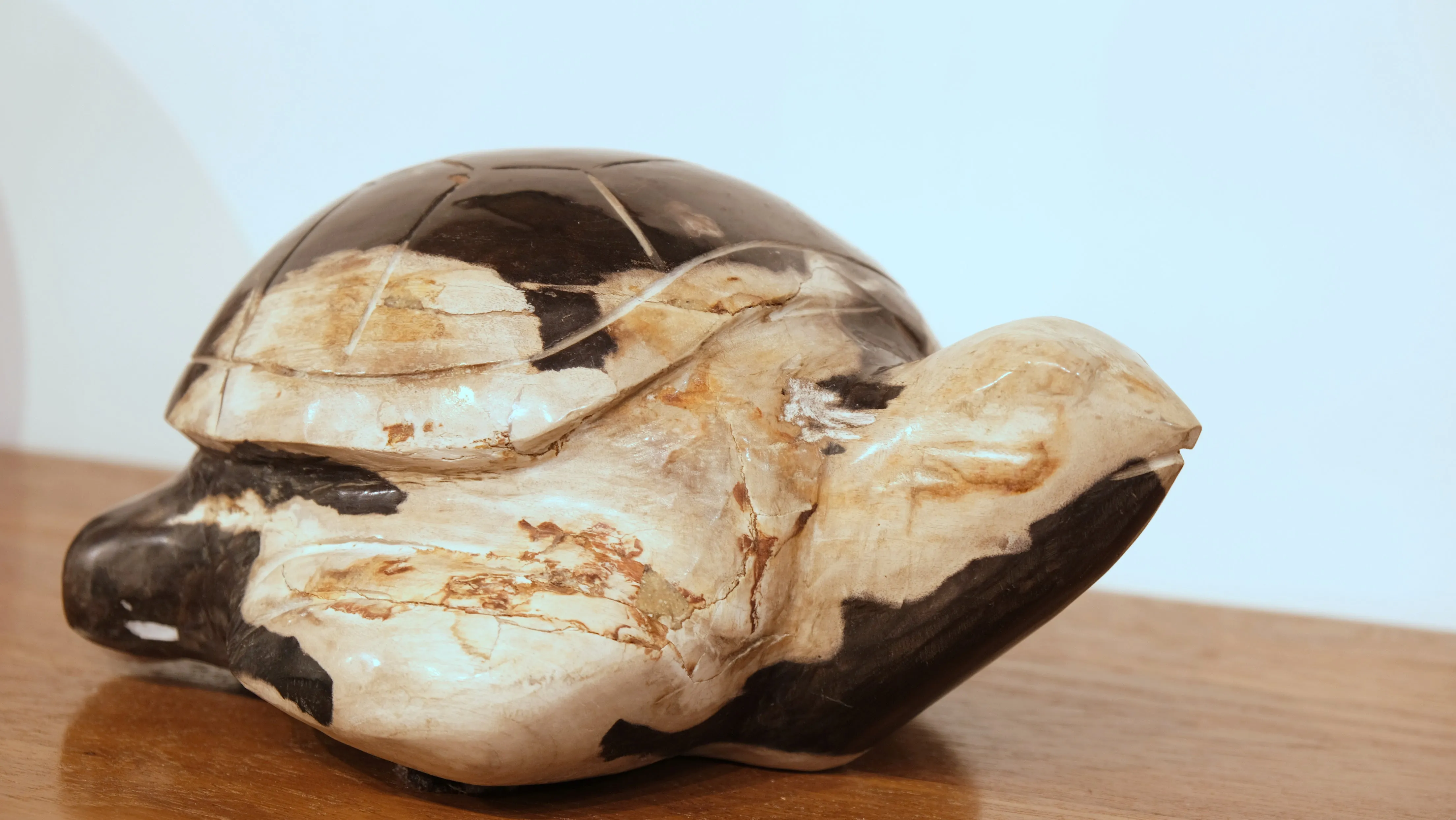 PETRIFIED WOOD CARVED TURTLE