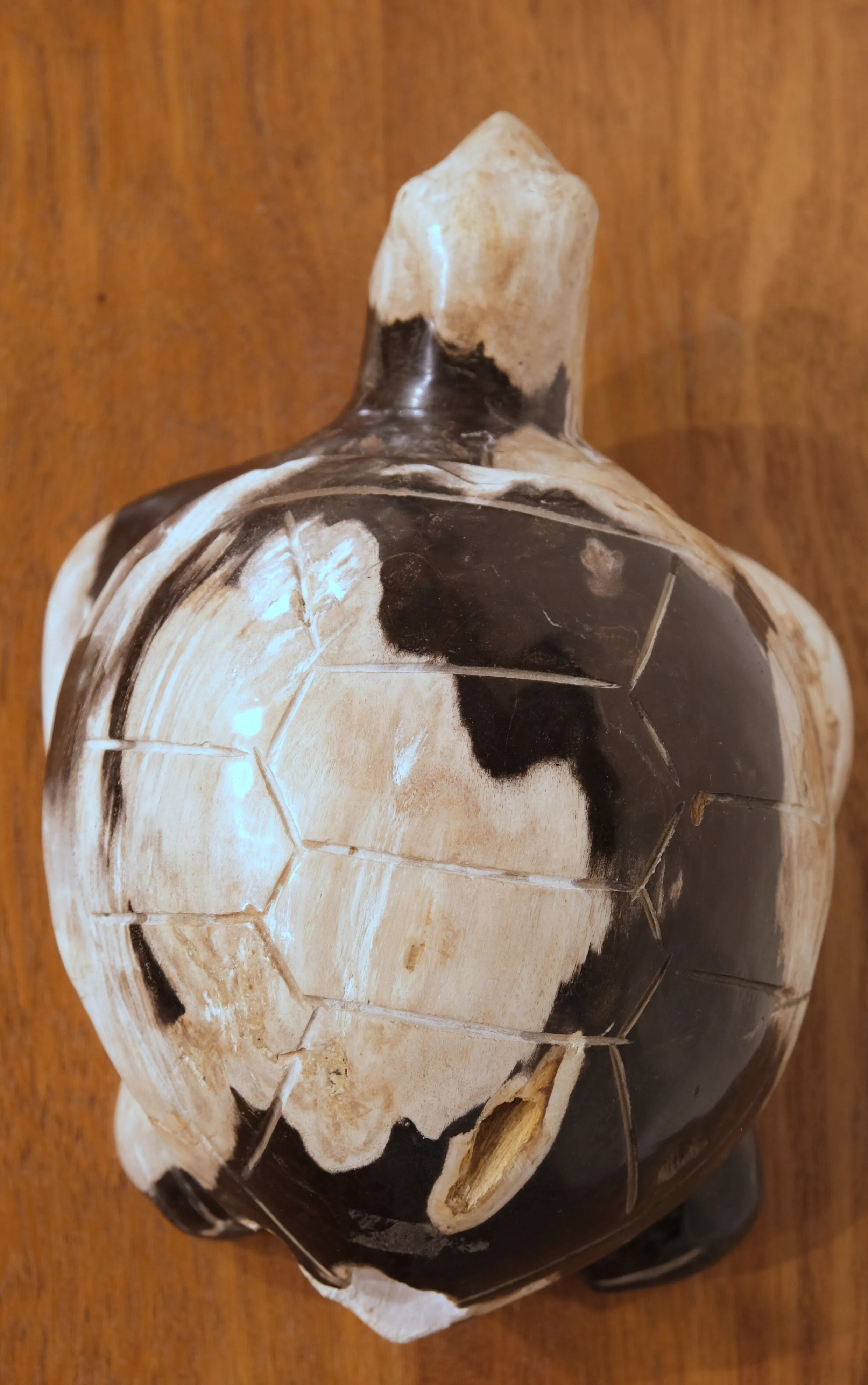 PETRIFIED WOOD CARVED TURTLE