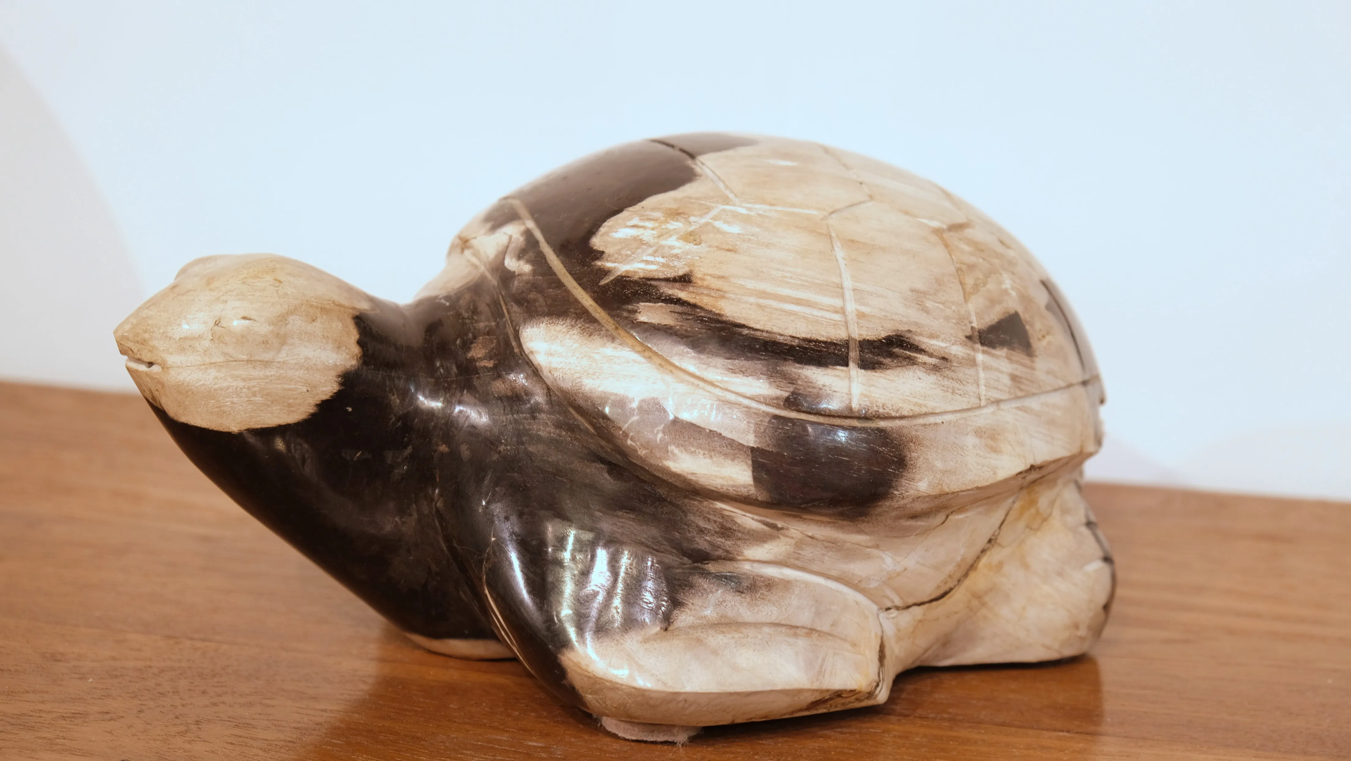 PETRIFIED WOOD CARVED TURTLE