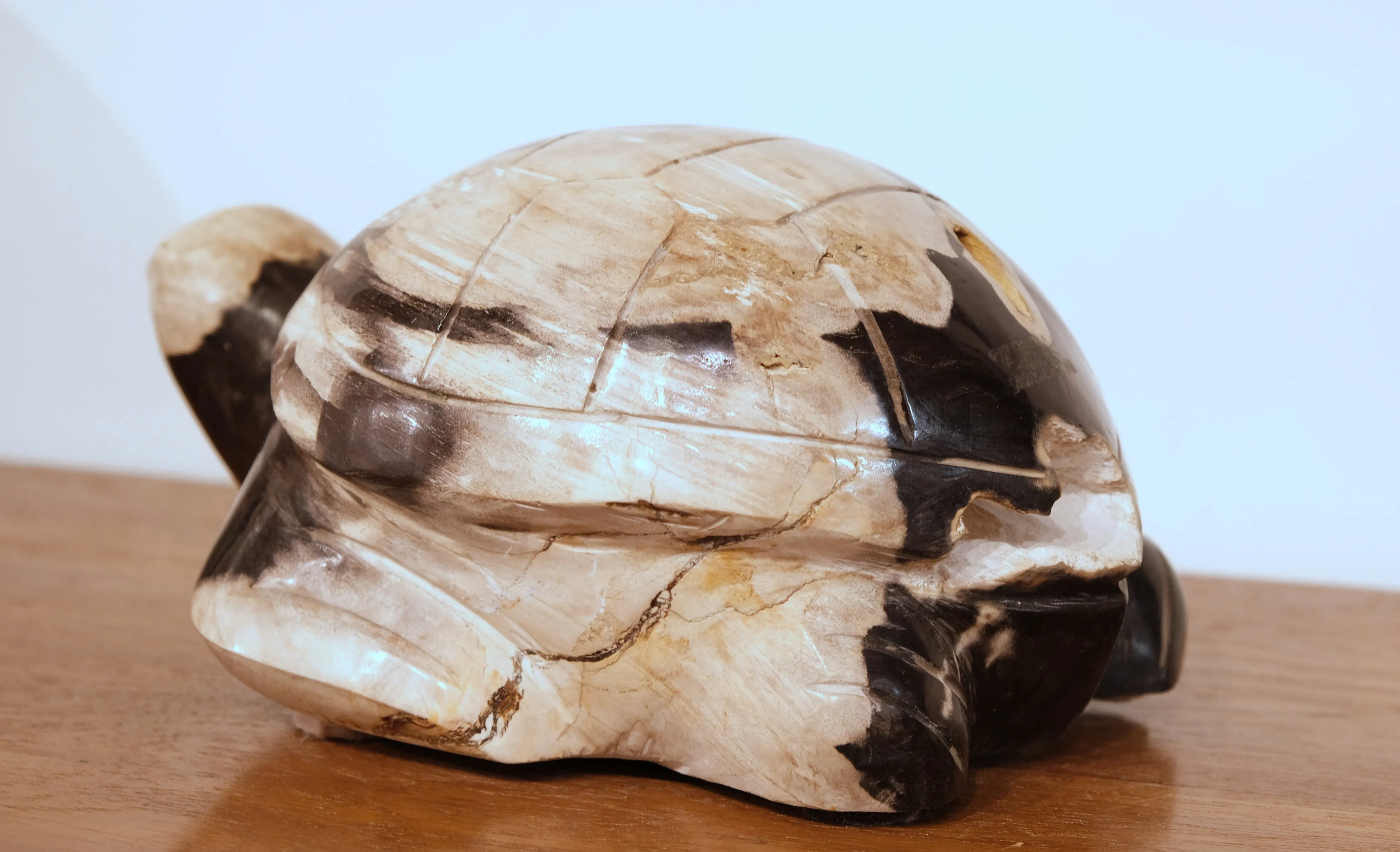 PETRIFIED WOOD CARVED TURTLE