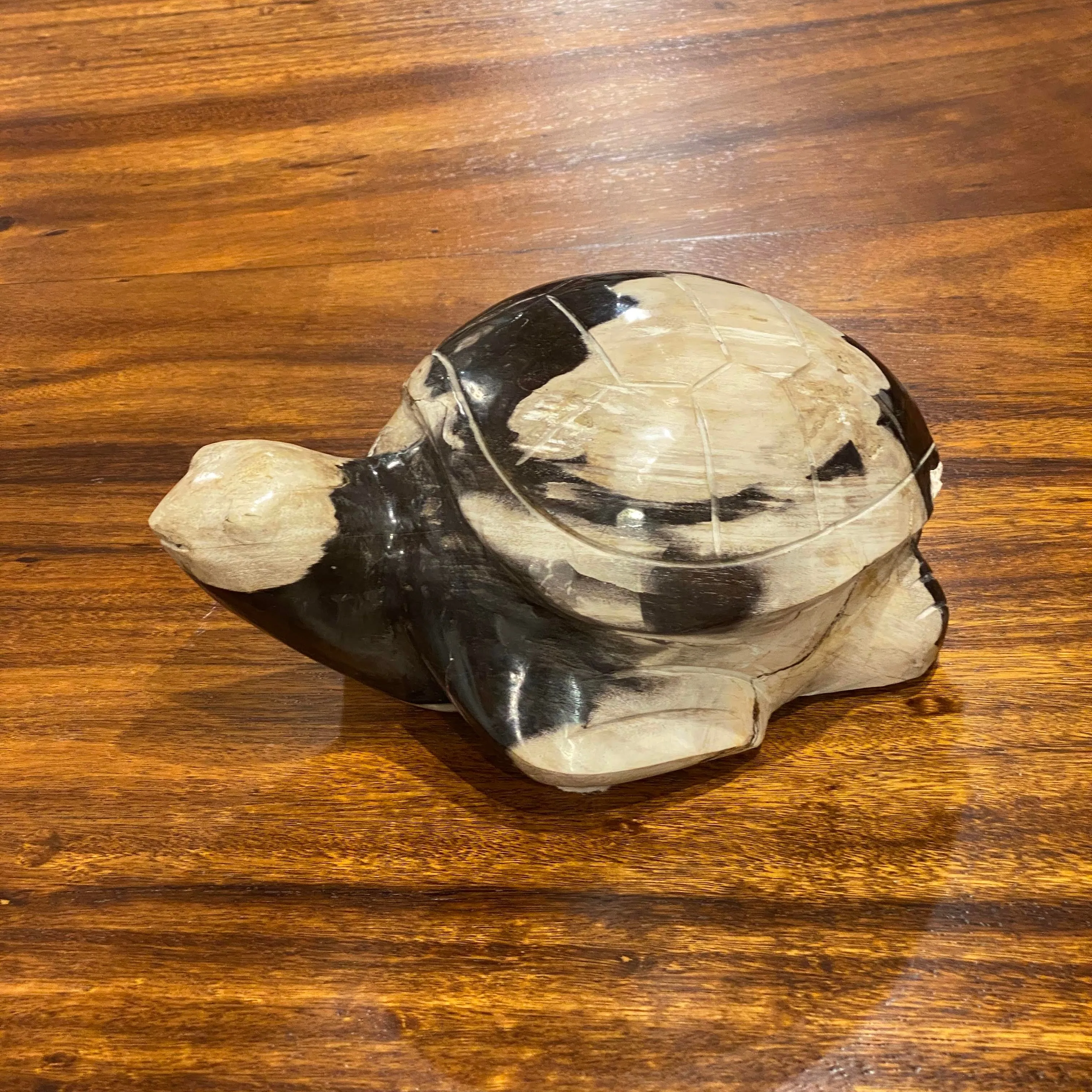 PETRIFIED WOOD CARVED TURTLE
