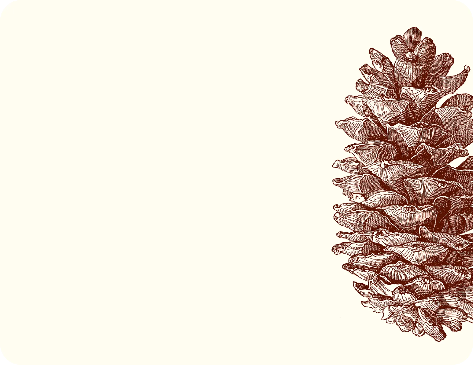 Pinecone A2 Notes