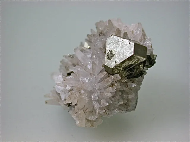 Pyrite on Quartz, 3200 level, Stewart Mine, Butte District, Silver Bow County, Montana 2.5 x 3.5 x 4.5 cm $25. Online August 1 SOLD