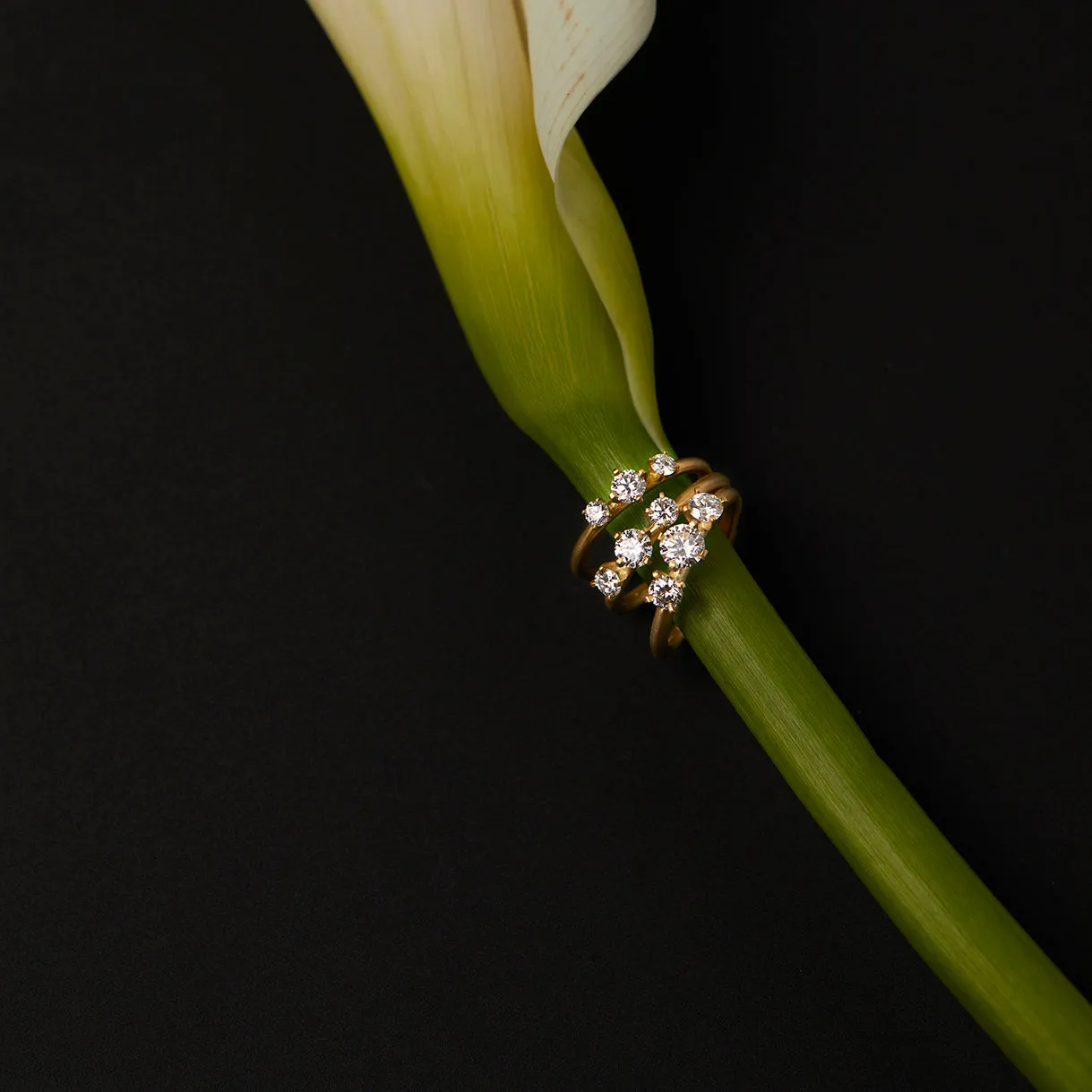 Queen White Diamond Trinity Ring | R11721W