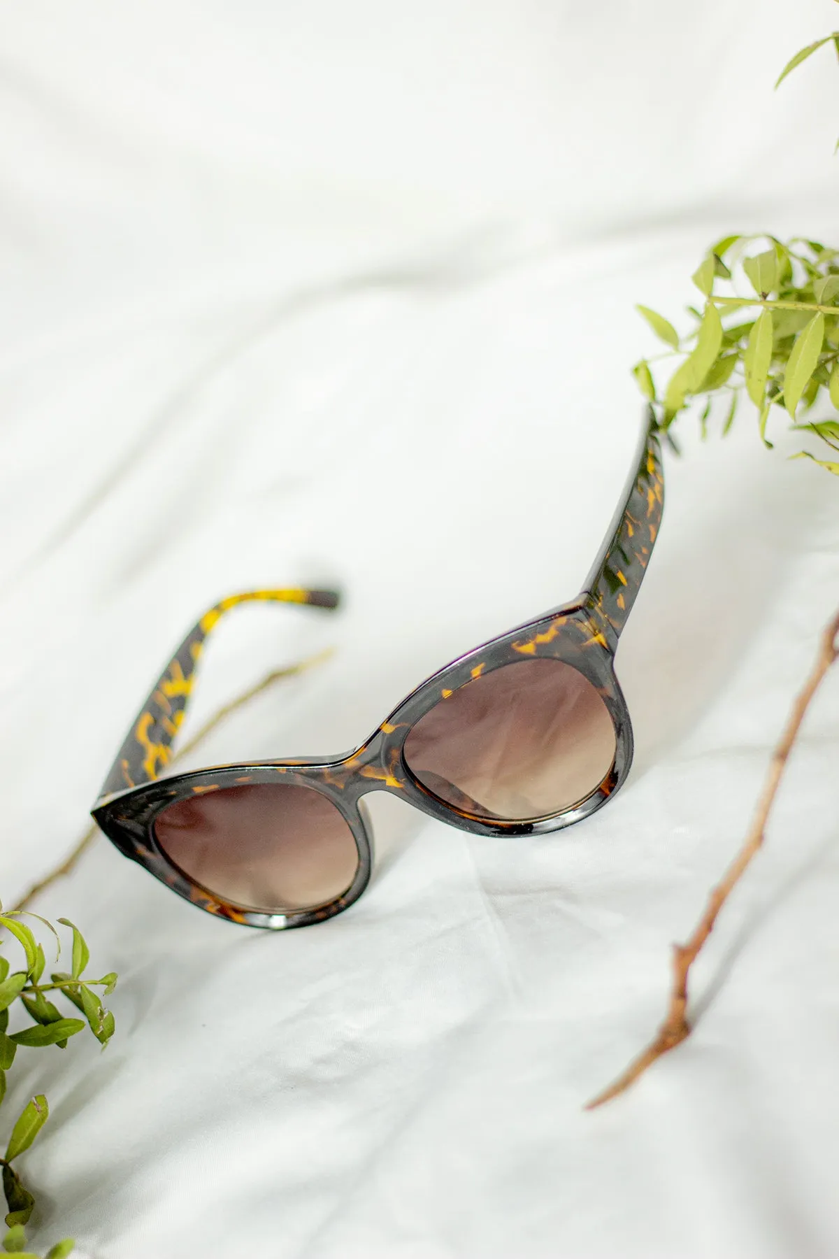 Rounded Top Cat Eye Dish Sunglasses