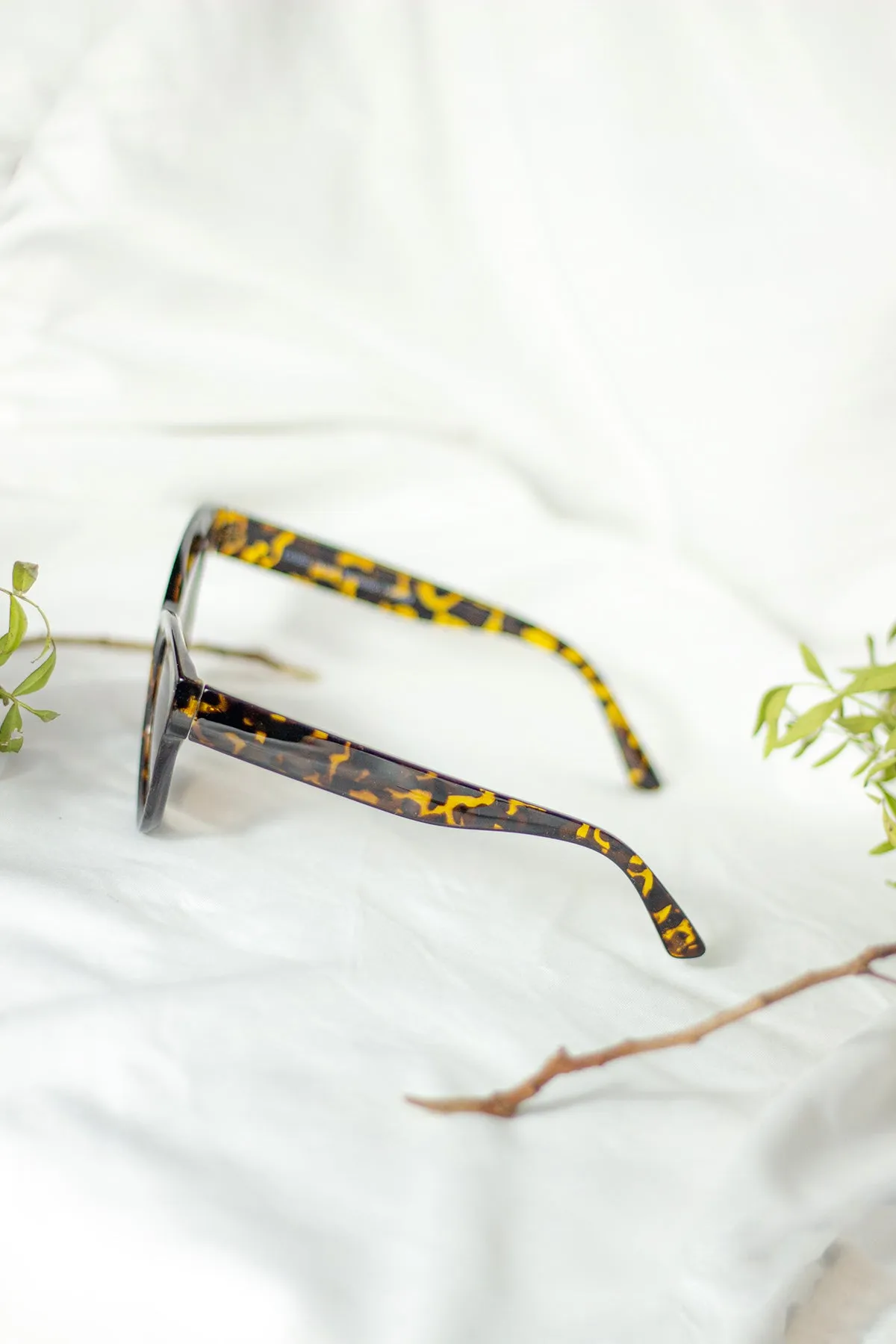 Rounded Top Cat Eye Dish Sunglasses