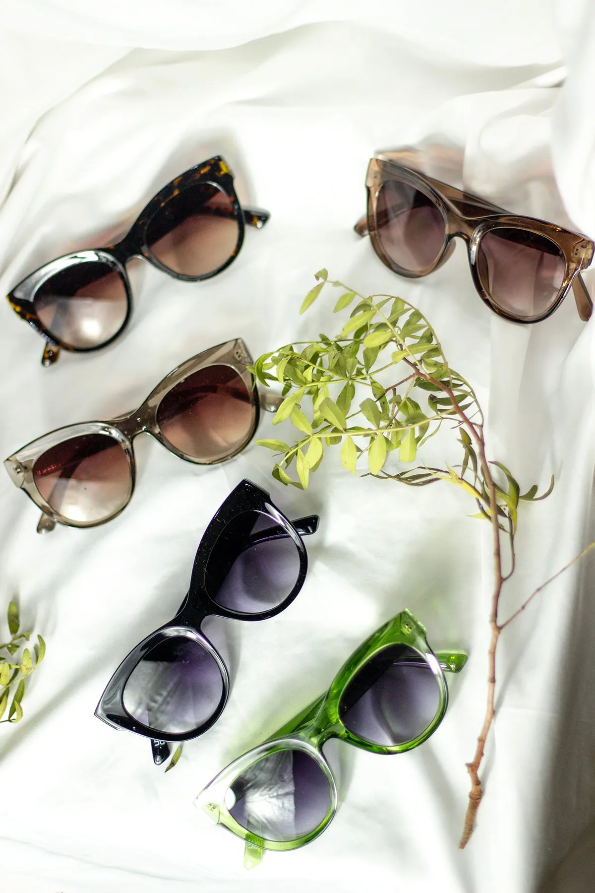 Rounded Top Cat Eye Dish Sunglasses