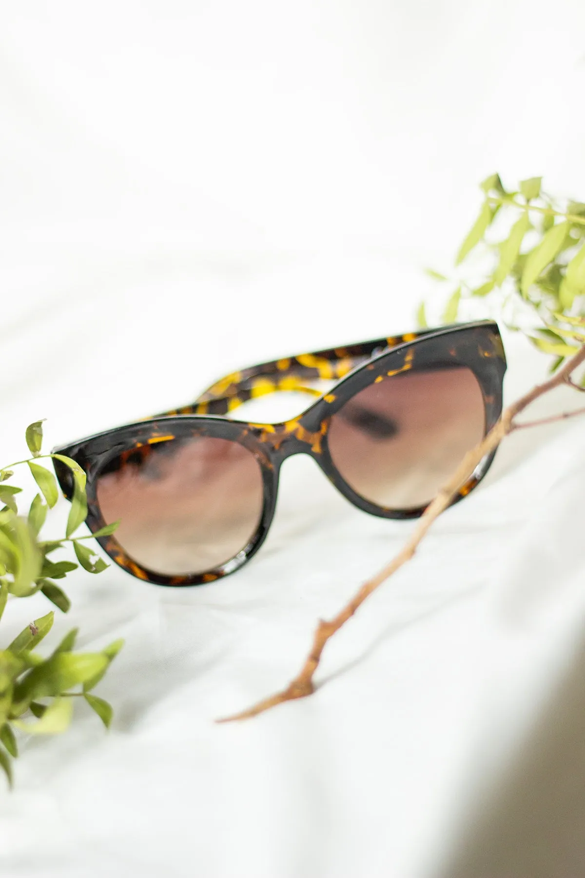 Rounded Top Cat Eye Dish Sunglasses