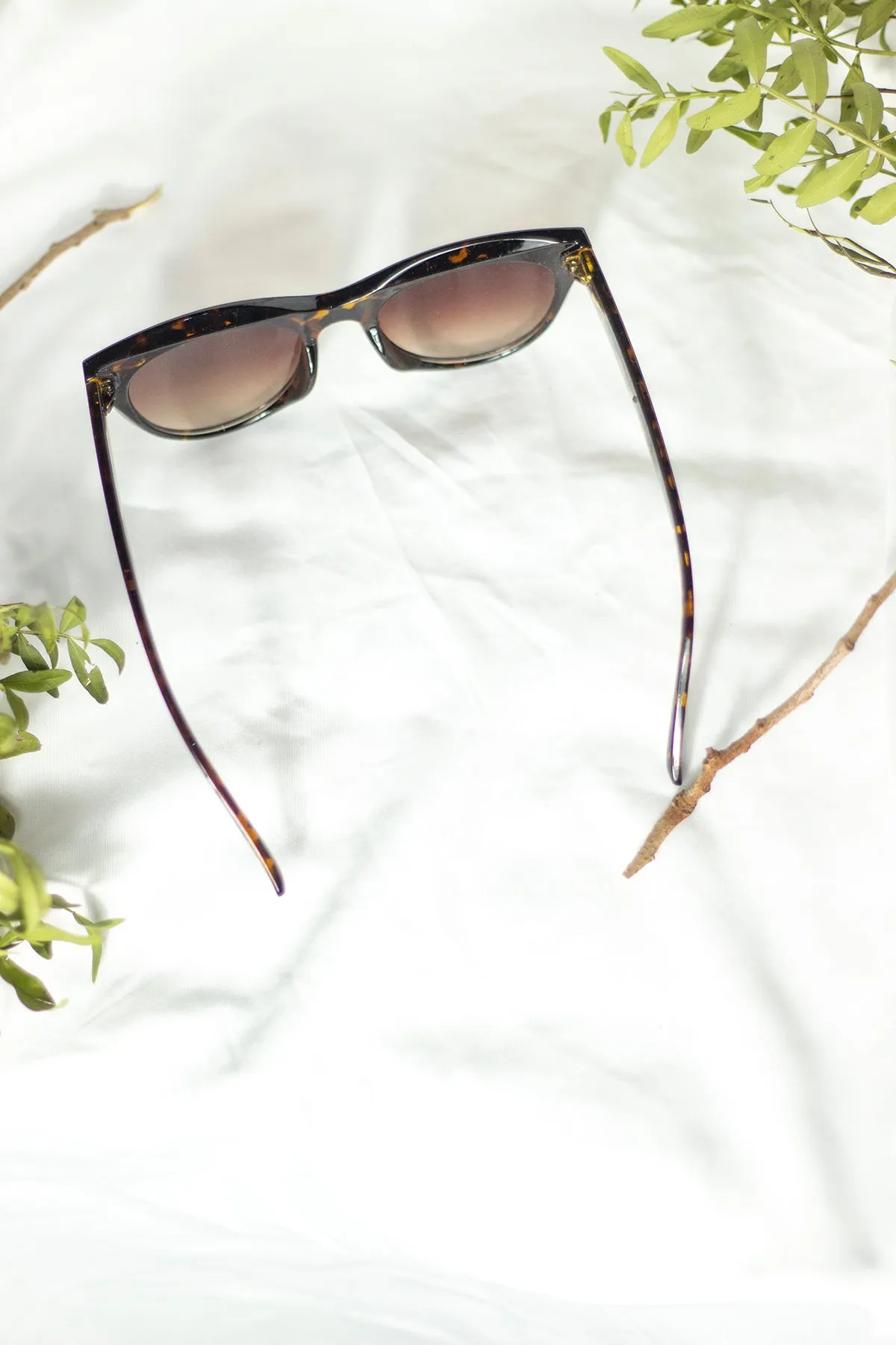 Rounded Top Cat Eye Dish Sunglasses