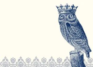 Royal Owl  A6 Notes