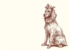 Royal Retriever A6 Notes