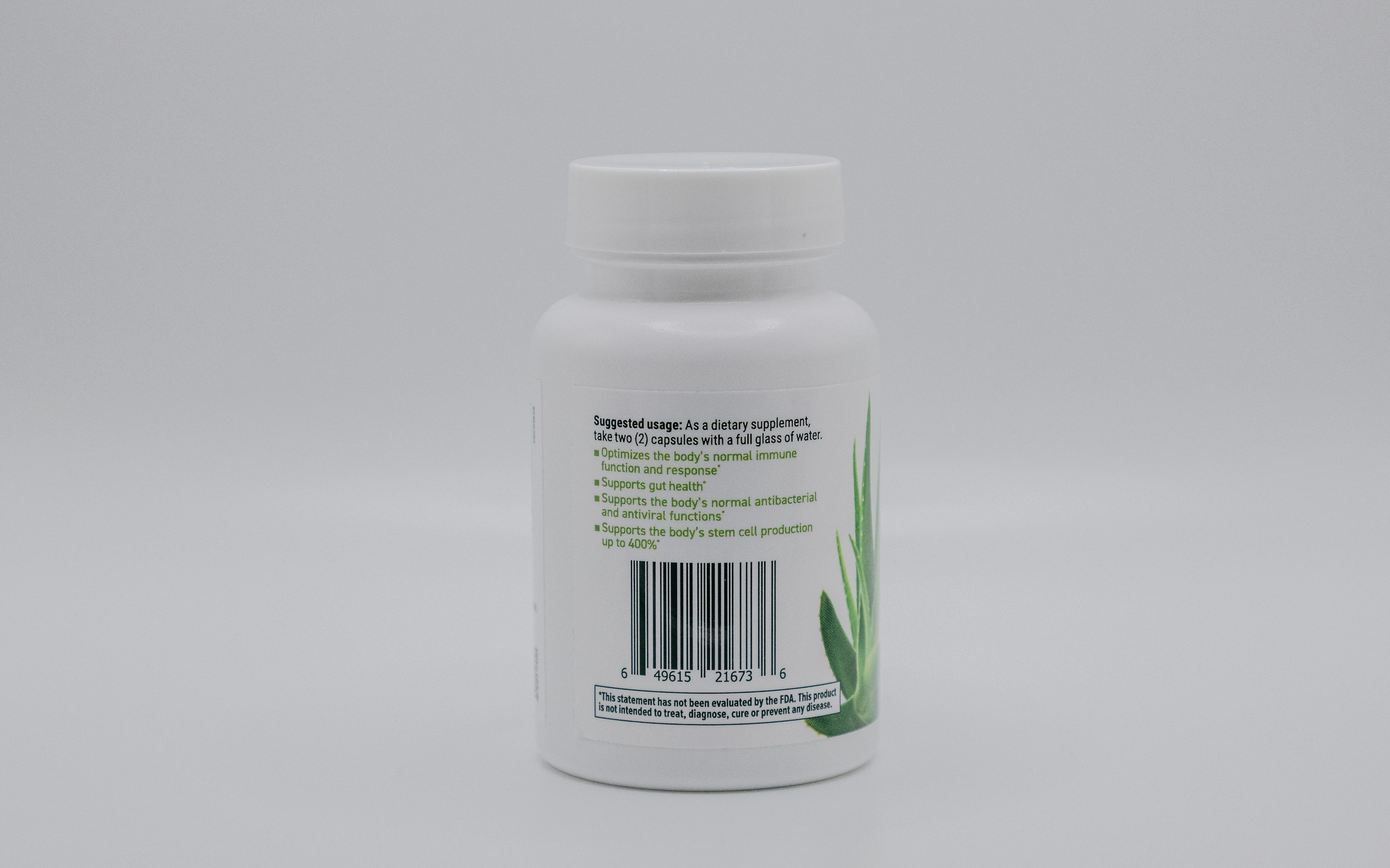 RPG Structured Aloe