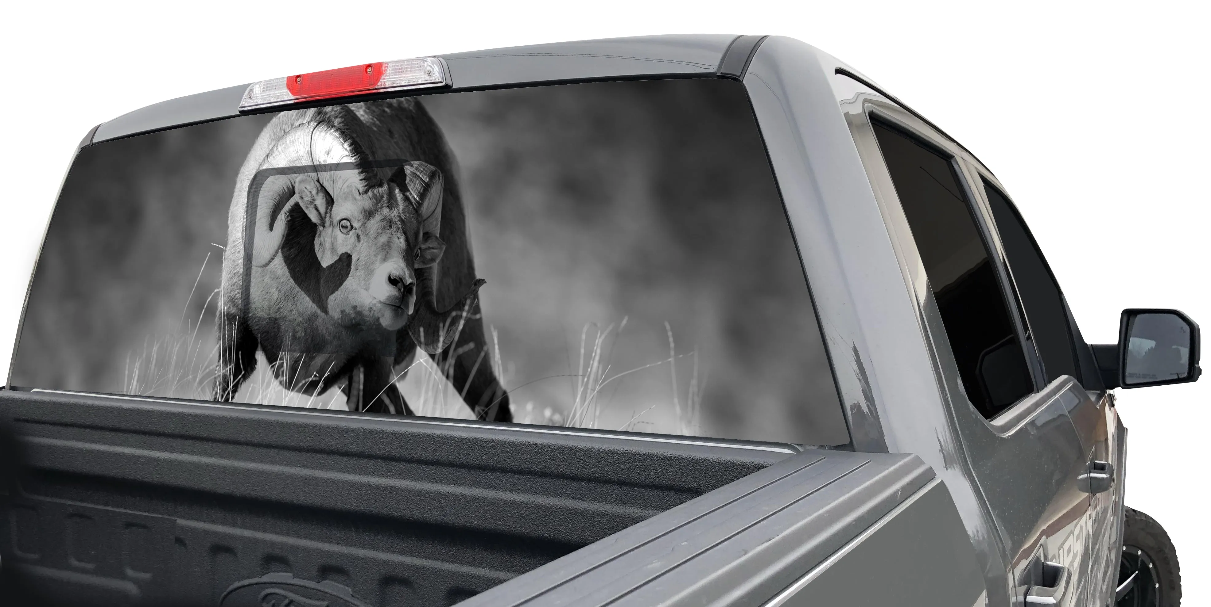 SHEEPWINDOWGRAPHIC