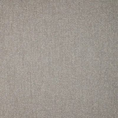 Subtle Boucle-Storm