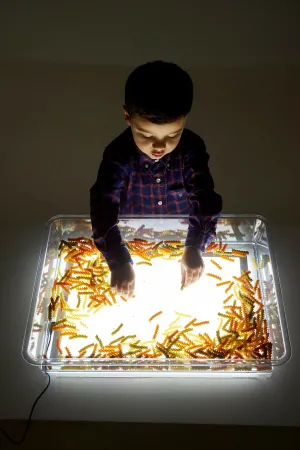 TickiT A3 Light Panel & Exploration Light Tray Set