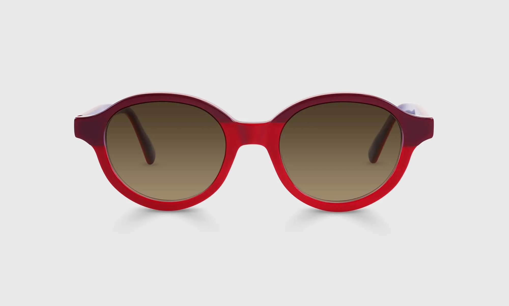 Well-Rounded Sunglasses