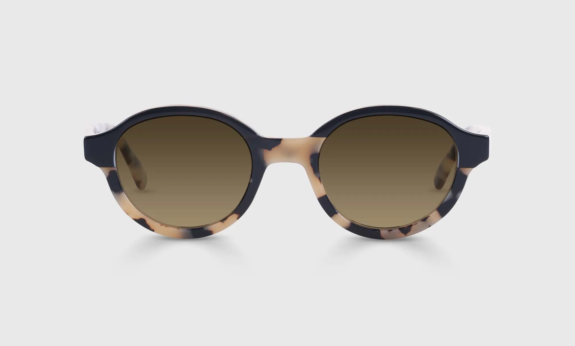 Well-Rounded Sunglasses