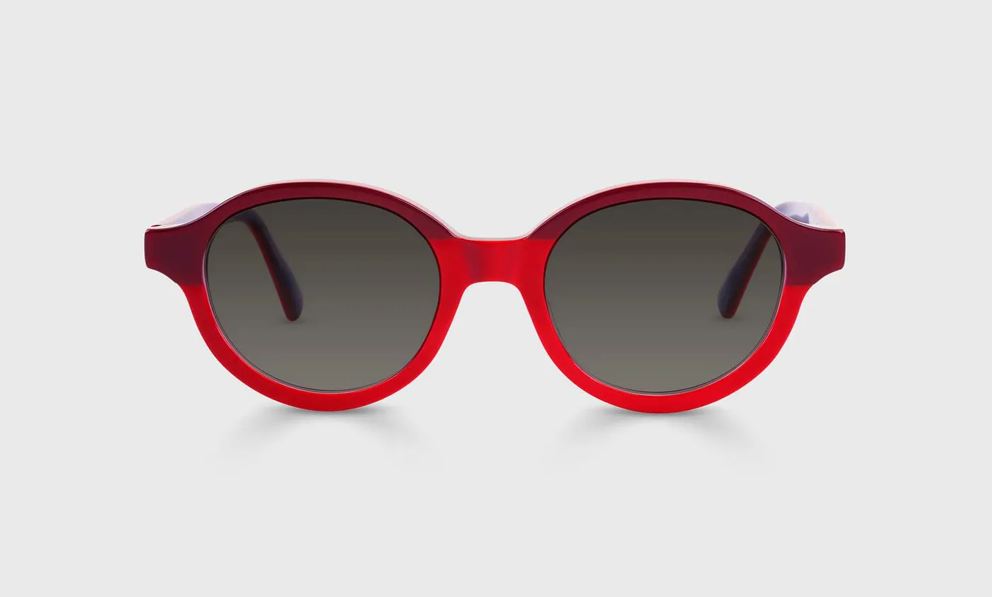 Well-Rounded Sunglasses