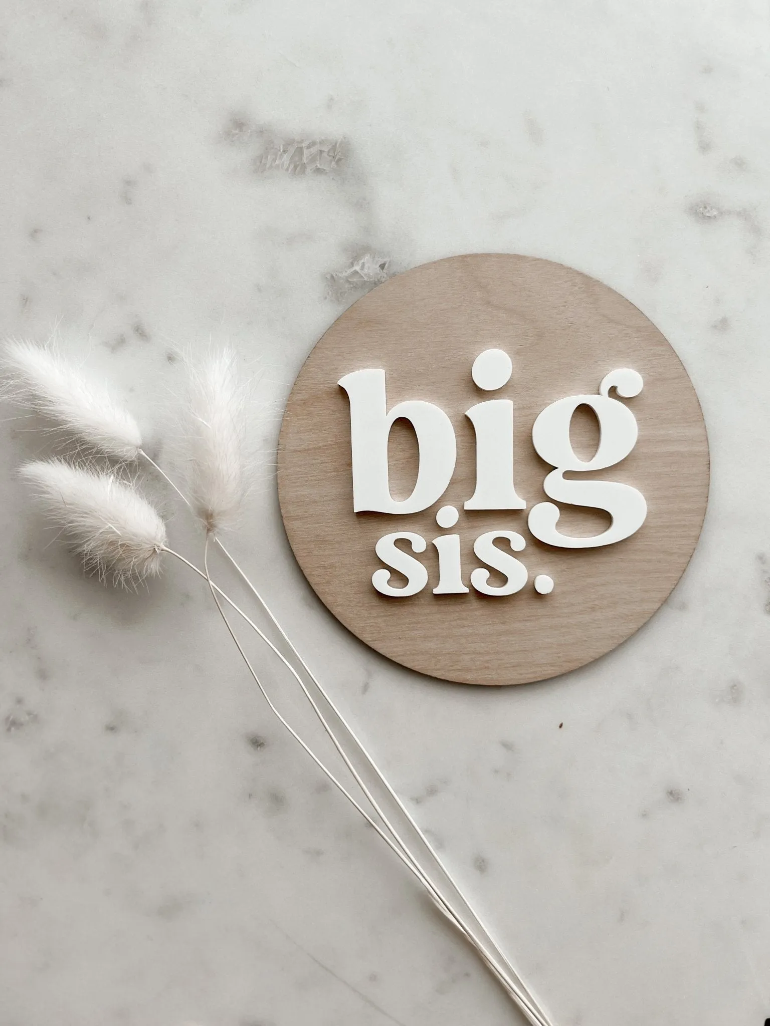 Wild Daisy Woodwork Big Sibling Announcement Disc